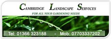 call us for grass cutting, hedge trimming and general garden maintenance work